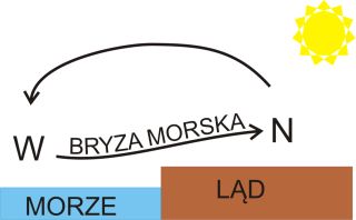 bryza morska